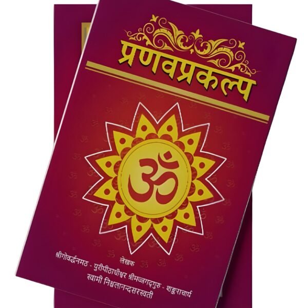 प्रणव प्रकल्प