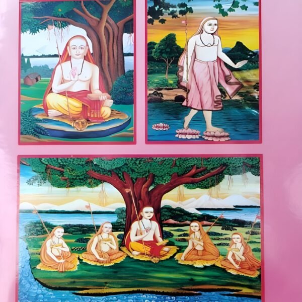 ସନ୍ନ୍ୟାସ ଓ ଶଙ୍କରାଚାର୍ଯ୍ୟ (ଓଡ଼ିଆ)