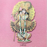 व्रतस्वरूपविमर्श