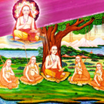 सन्न्यास और शङ्कराचार्य (हिन्दी)