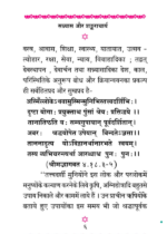 सन्न्यास और शङ्कराचार्य (हिन्दी) - Image 4