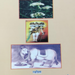 धर्मसिद्धि