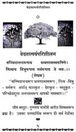 वेदतात्पर्य परिशीलन - Image 4